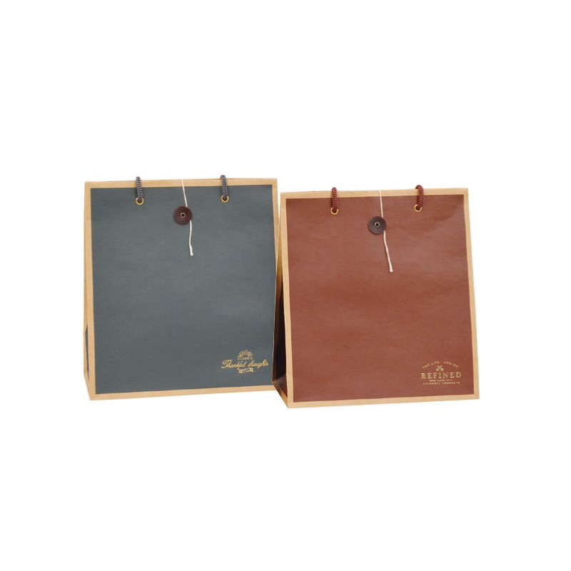 Color craft paper bag M 240 x 220 x 110mm